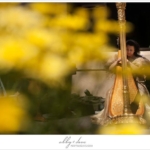 Banff-Harpist-Harp-Angel-Lake-Louise