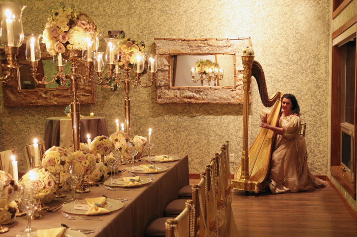Event Harp Musician