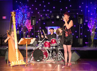 Soft Jazz Harp
